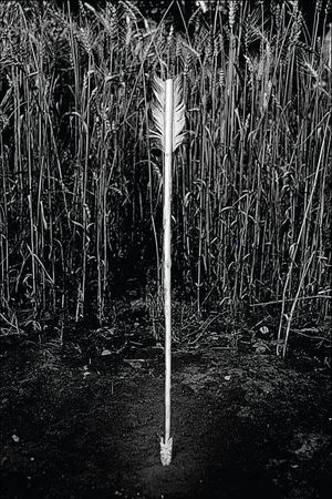 Анна Бену - Символизм сказок и мифов народов мира. Человек - это миф, сказка - это ты