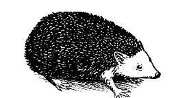 Смех сквозь слезы