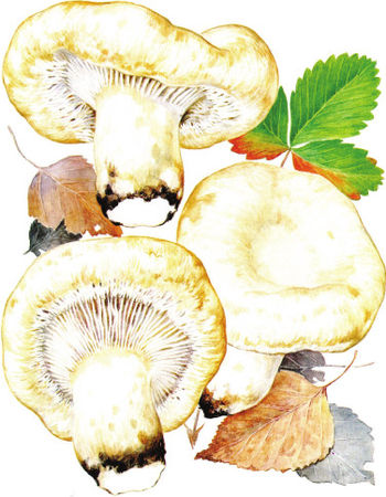 Дмитрий Соколов - Необычные изобретения. От Вселенной до атома