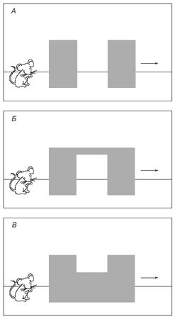 Николай Веракса, Александр Веракса - Познавательное развитие в дошкольном...