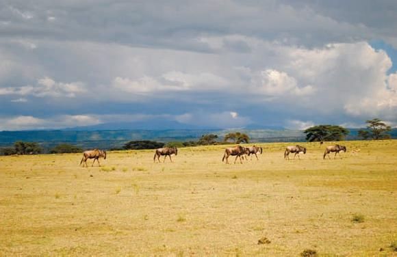 Константин Стогний - Сокровища майя и конец света