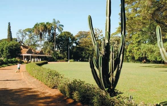 Константин Стогний - Сокровища майя и конец света