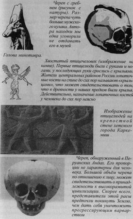 Владимир Шемшук - Возвращение Рая на Землю