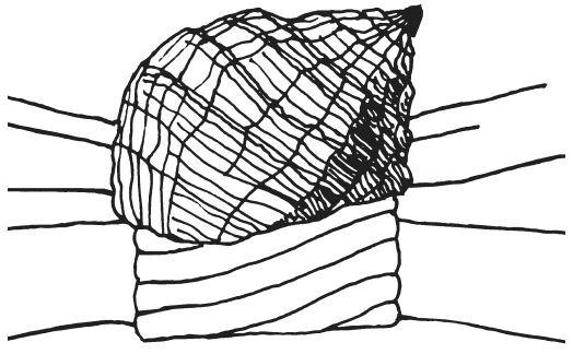 Светлана Ращупкина - Поделки из морских камешков и ракушек