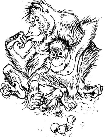 Борис Житков - Что бывало (сборник)