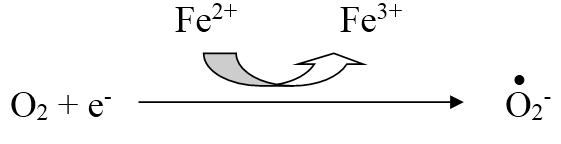 Биологическая химия