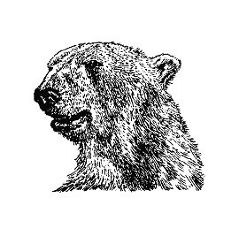 Бернгард Гржимек - Наши братья меньшие