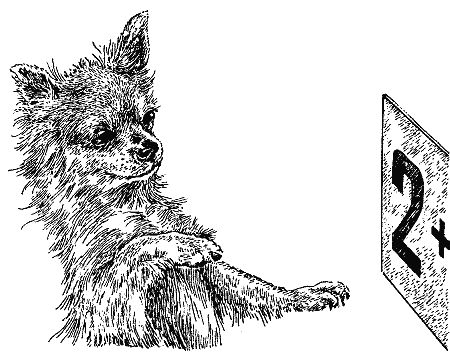 Бернгард Гржимек - Наши братья меньшие