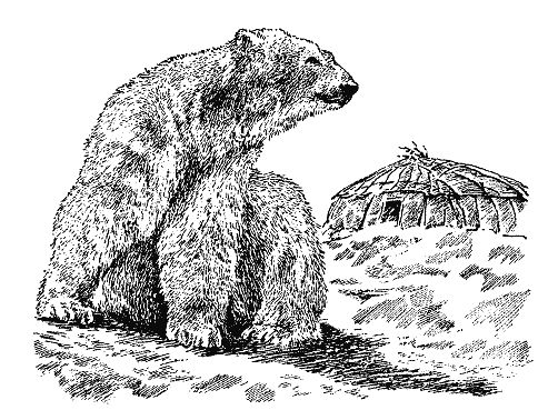 Бернгард Гржимек - Наши братья меньшие