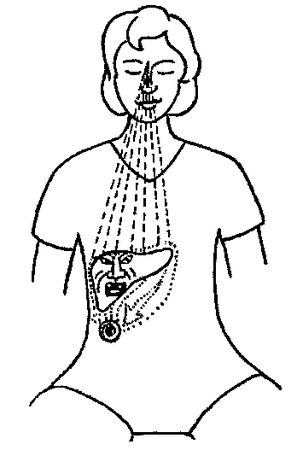 Лариса Мелик - Мысль творит реальность: вам подвластно ВСЁ