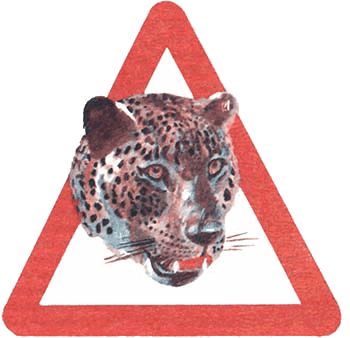 Игорь Акимушкин - Невидимые нити природы