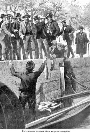 Жюль Верн, Мишель Верн - Дунайский лоцман