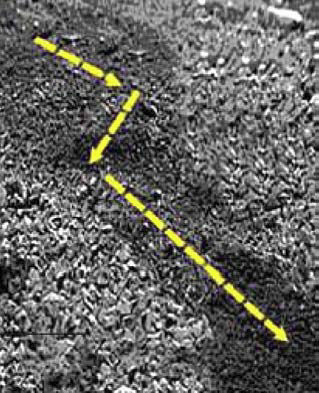 Андрей Кашкаров - Справочник настоящего мужчины