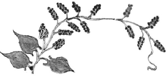 Юрий Винничук - Танго смерти