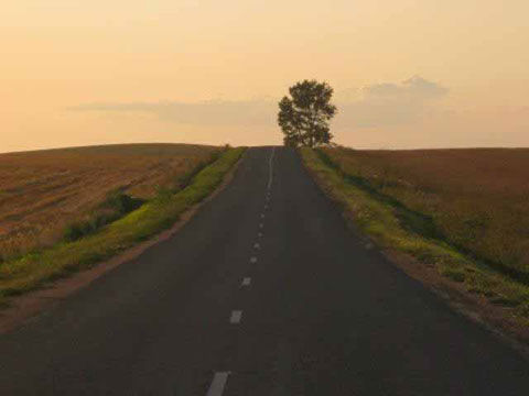 Валентина Сирота - Мы на земле всего лишь гости... (сборник)