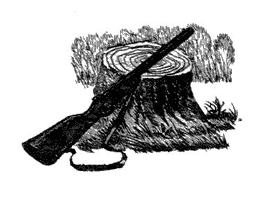 Василий Белов - Бухтины вологодские завиральные