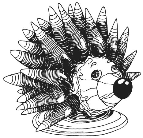 Светлана Ращупкина - Поделки из морских камешков и ракушек