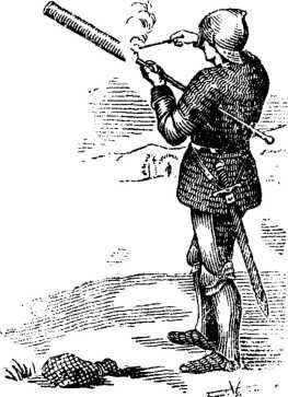 Владимир Федоров - История винтовки