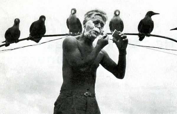 Хайнц Зильман - В стране драконов и сказочных птиц