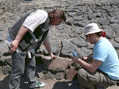 Андрей Скляров - Древняя Мексика без кривых зеркал
