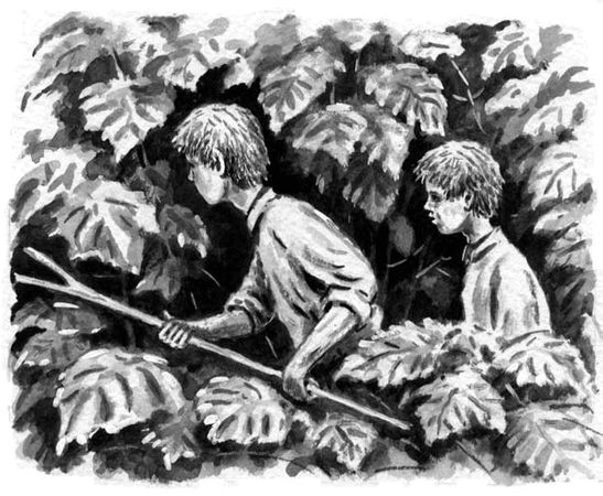 Георгий Скребицкий - Длиннохвостые разбойники (сборник)