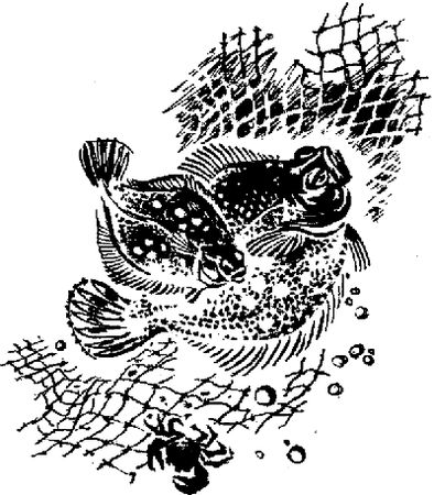 Борис Житков - Что бывало (сборник)