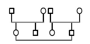 Сборник статей, Анна Варга - Системная психотерапия супружеских пар