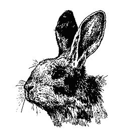 Бернгард Гржимек - Наши братья меньшие