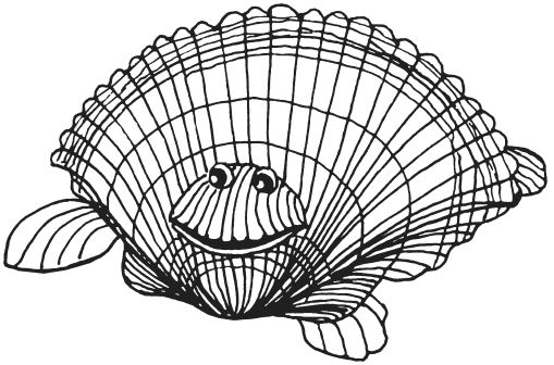 Светлана Ращупкина - Поделки из морских камешков и ракушек