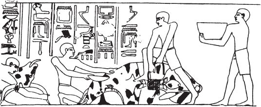 Пьер Монте - Эпоха Рамсесов. Быт, религия, культура