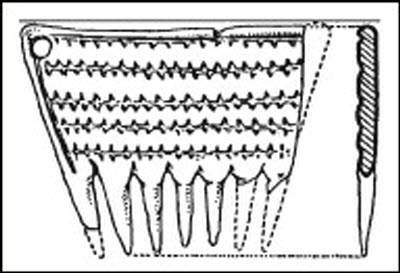 Думитру Берчу - Даки. Древний народ Карпат и Дуная