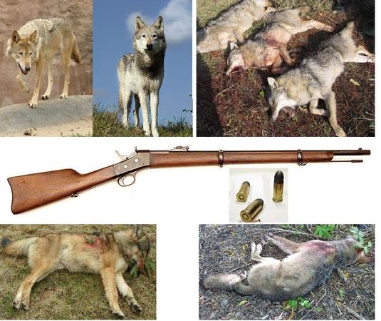 Алексей Штейн - Проходная пешка