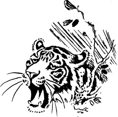 Борис Житков - Что бывало (сборник)