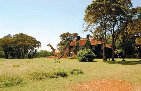 Константин Стогний - Сокровища майя и конец света