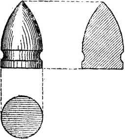 Владимир Федоров - История винтовки