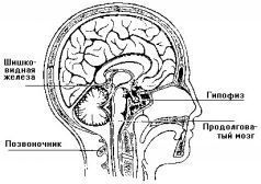 Чарльз Ледбитер - ЧАКРЫ