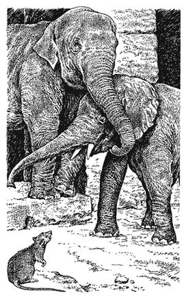 Бернгард Гржимек - Наши братья меньшие