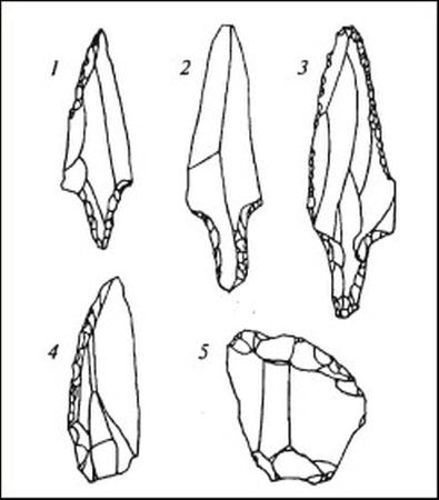 Думитру Берчу - Даки. Древний народ Карпат и Дуная