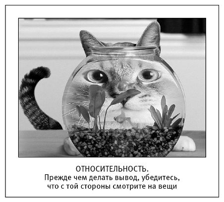 Ксения Меньшикова - Хитросплетения судьбы, или В каком измерении ты живешь?...