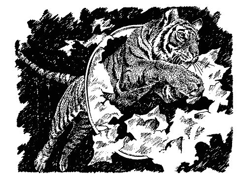 Бернгард Гржимек - Наши братья меньшие