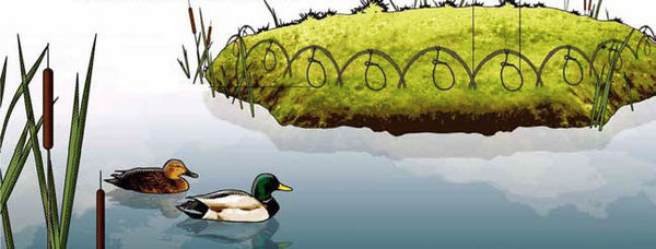 Андрей Кашкаров - Справочник настоящего мужчины