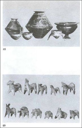 Думитру Берчу - Даки. Древний народ Карпат и Дуная