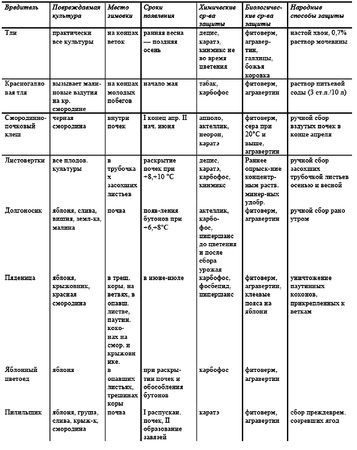 Галина Кизима - Годовой цикл работ в саду и огороде