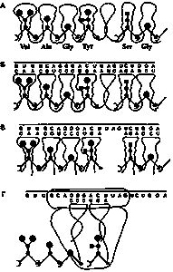 Марк Мосевицкий - Распространенность жизни и уникальность разума?
