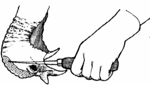 Андрей Кашкаров - Справочник настоящего мужчины