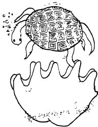 Игорь Акимушкин - И у крокодила есть друзья