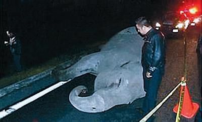 Константин Стогний - Сокровища майя и конец света