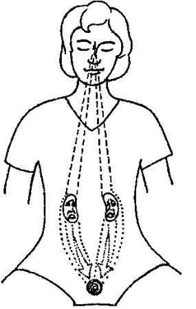 Лариса Мелик - Мысль творит реальность: вам подвластно ВСЁ