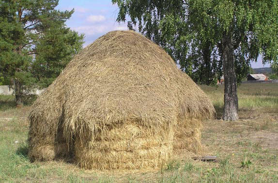 Андрей Кашкаров - Справочник настоящего мужчины