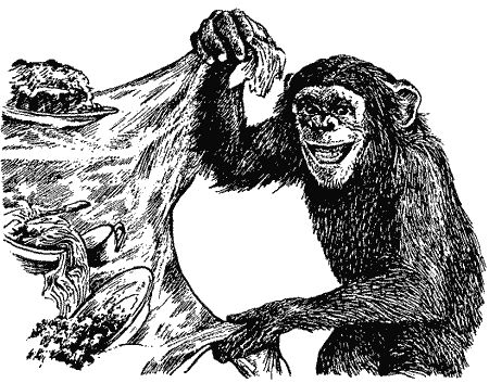 Бернгард Гржимек - Наши братья меньшие